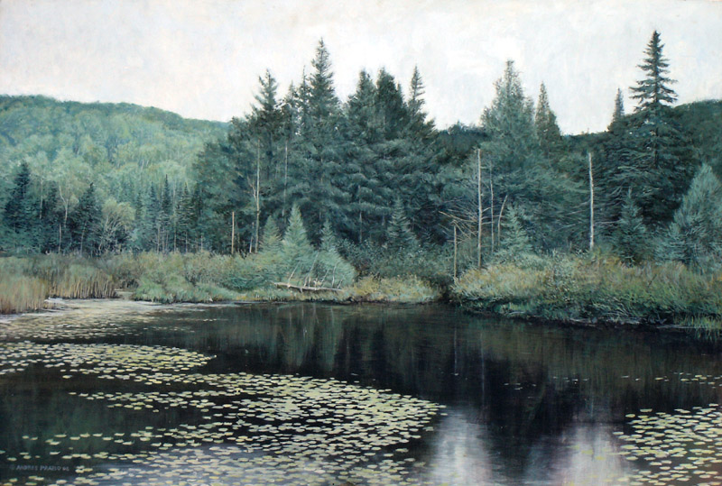 algonquin pond, large